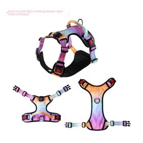 USB Rechargeable Pet LED Luminous Chest Strap (Option: Colorful-L)